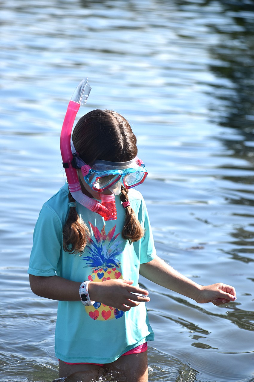 Amelia Thomas wades into the water.