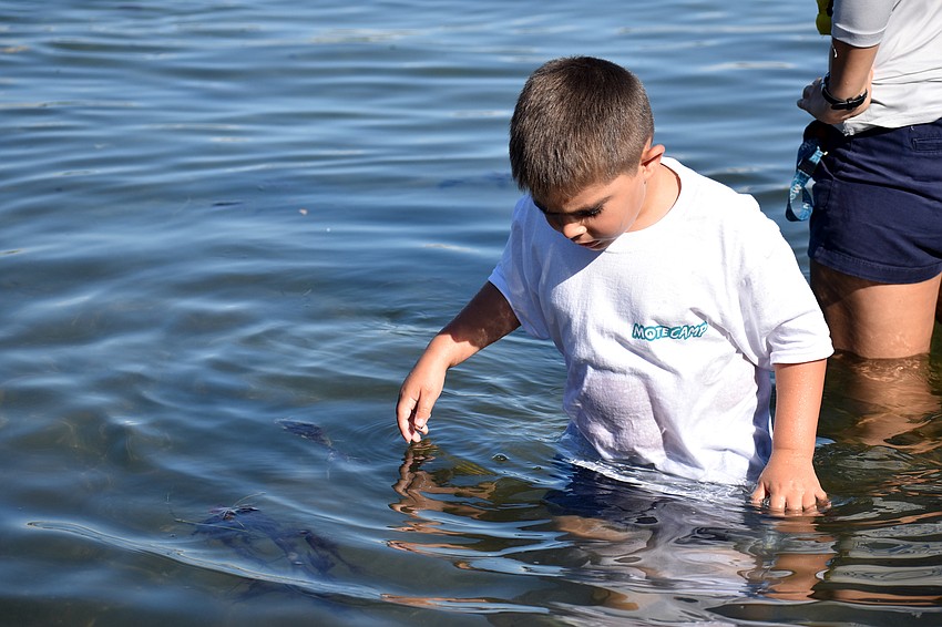 Mason Dennis wades through the water looking for fish.