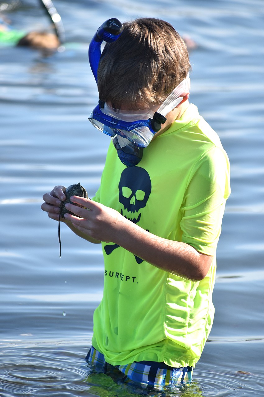 Ryan Ruthhaar checks out a clam he found.