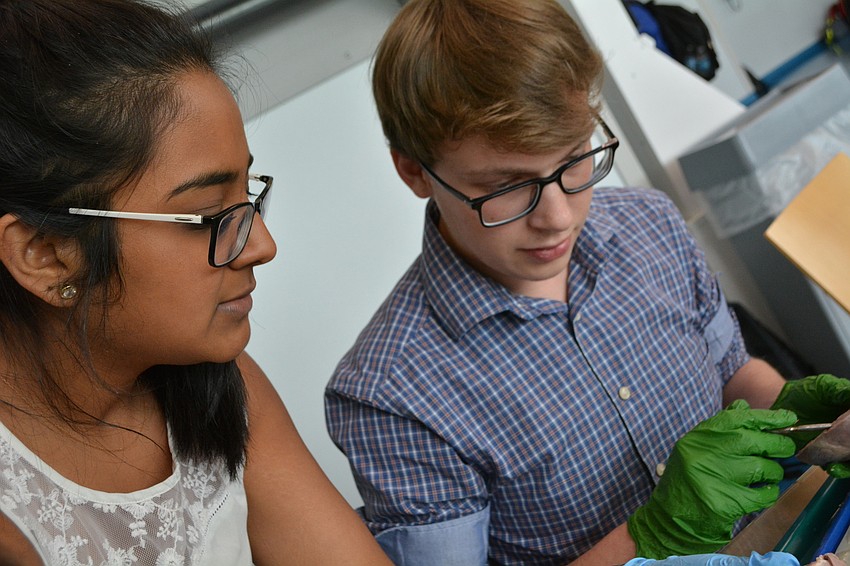 LECOM second-year medical student Riddhi Ramanlal shows Sarasota Military Academy student Alec Moor, 17, how to find the aorta of a pig's heart.