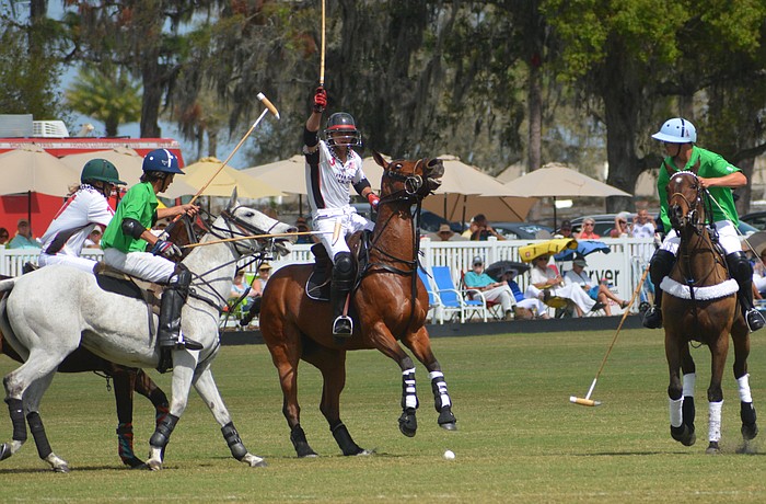Now that James and Misdee Miller have purchased the Sarasota Polo Club, players such as Southside Polo's Buck Schott will be able to continue playing polo for years to come.