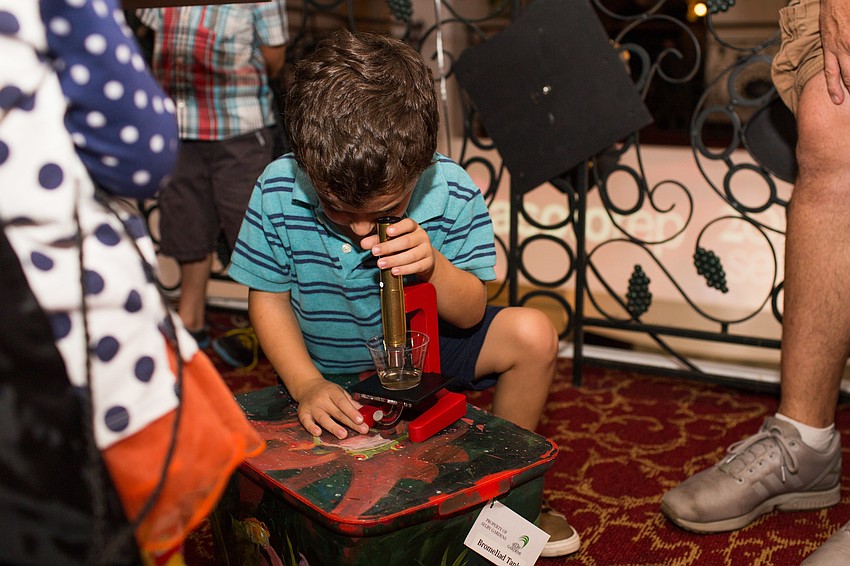Wesley Wolff looks in the microscope at bromeliads.