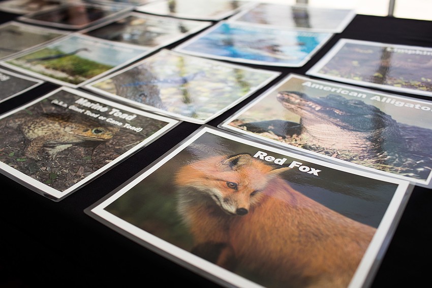 The Conservation Foundation of the Gulf Coast had guests guess which Florida animal sound was which.