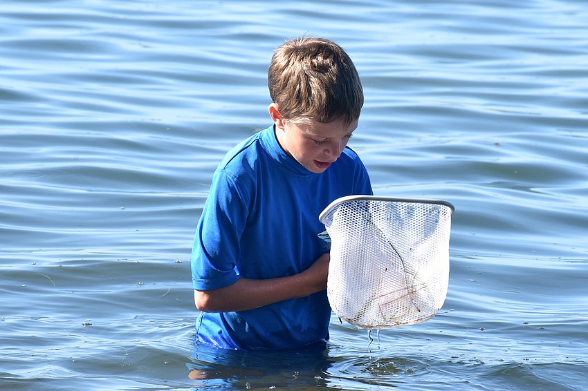 Aiden Putnam looks in his net for marine life.