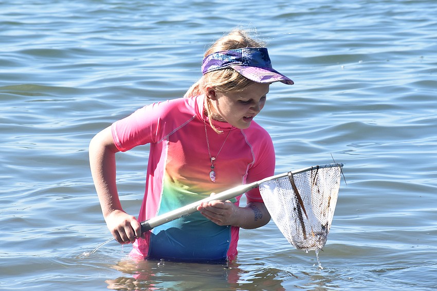 Alea Long looks in her net to see if she scooped up any marine life.