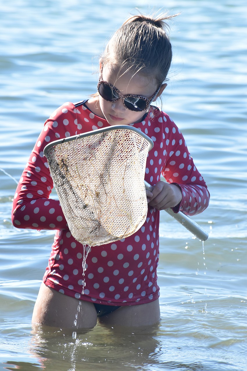 Savannah McEachern checks out her net after dipping it in the water.