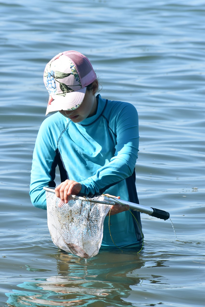 Ava Gekht scoops her net out of the water.