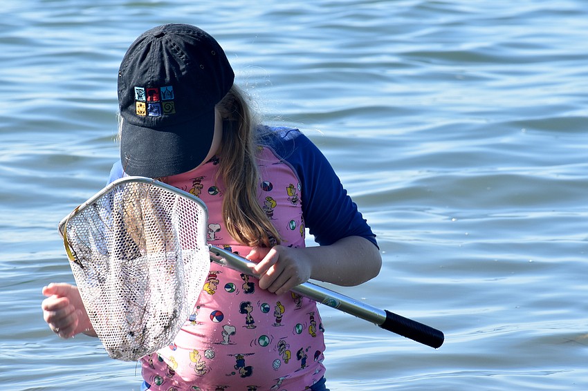 Avery Pfleuger scoops her net out of the water.