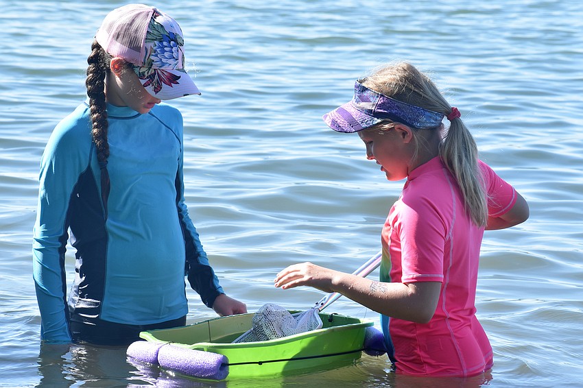 Ava Gekht and Alea Long put their marine life in a tray to show other campers.