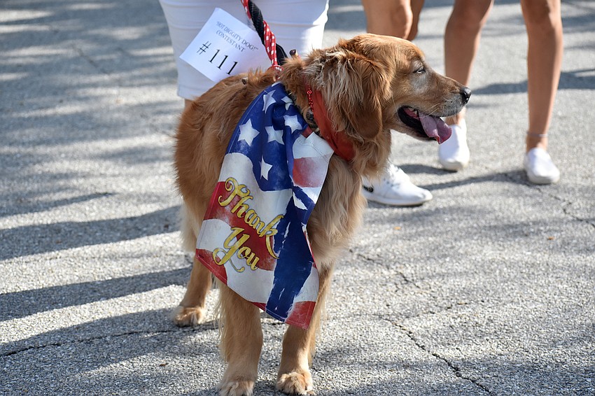 Dogs wore their most patriotic outfits for the parade and Hot Diggity Dog contest.