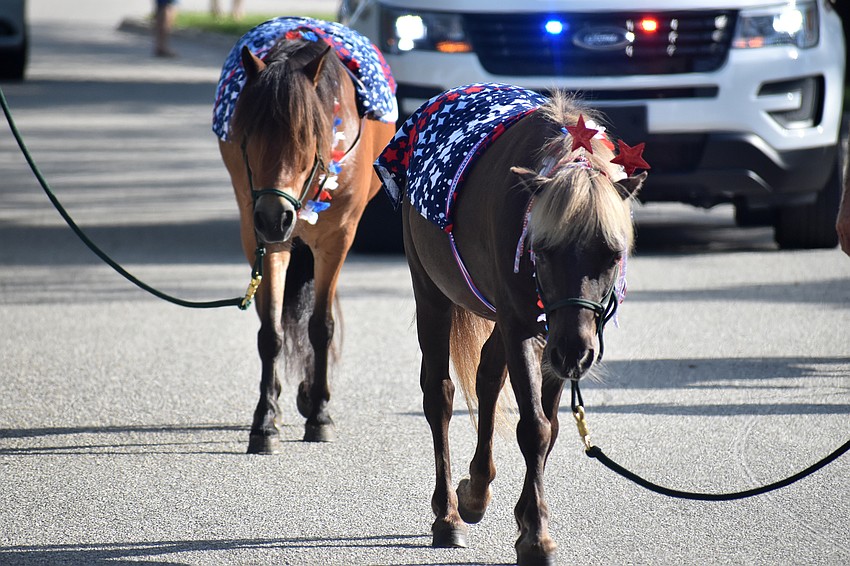 Horses from Sixteen Hands Horse Sanctuary walk the parade route.