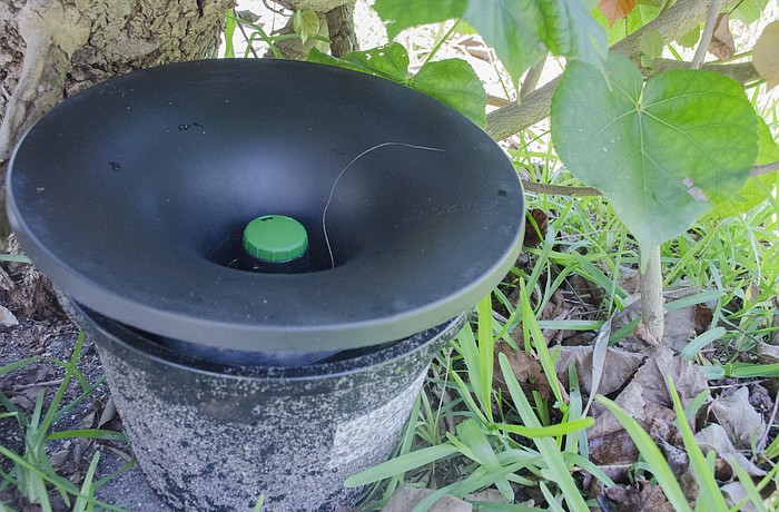 The In2Care trap must be put in shaded areas for maximum effectiveness.