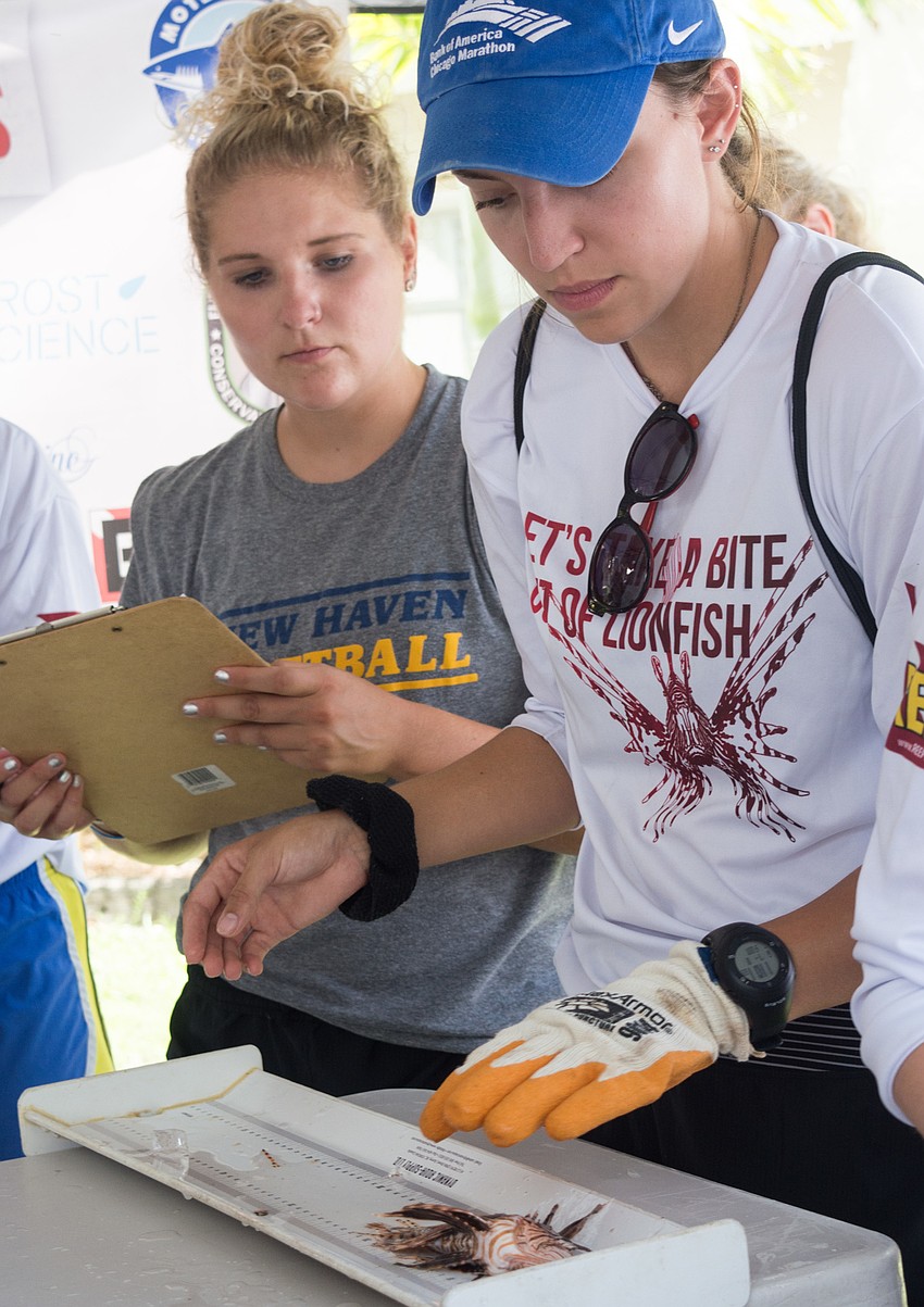 Ashley Yarbrough, right, measures one of the many lionfish harvested during the derby.