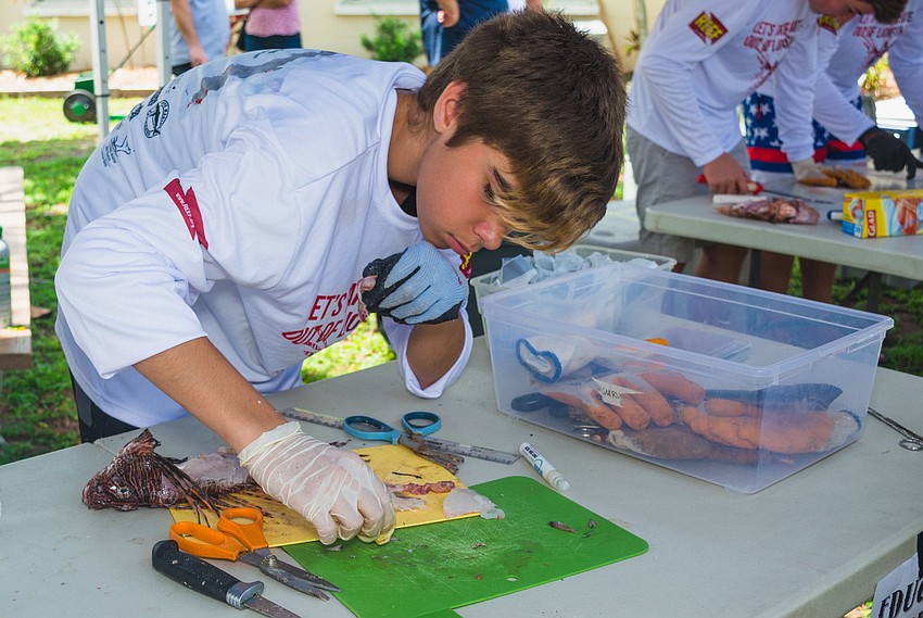 Griffin Akins dissects a lionfish.
