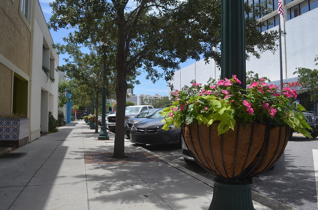The Downtown in Bloom program includes seasonal changes for the flower baskets.