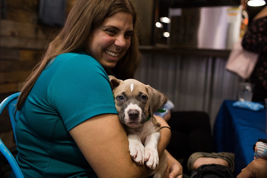 Dani Zeris holds Miami, a puppy available for adoption through the Humane Society of Manatee County.