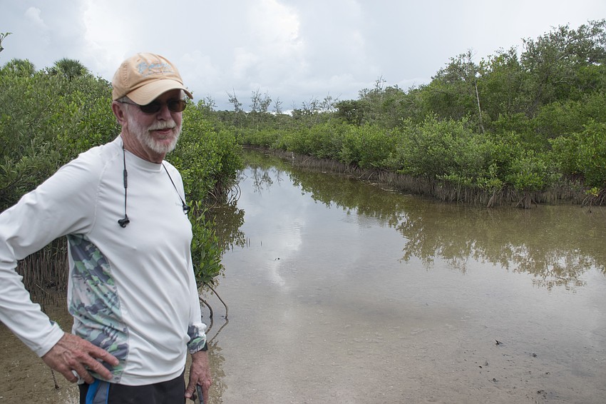 The wetlands on sister keys were designed rather than made naturally, Chinnis said.
