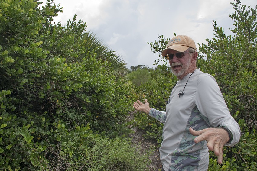 Sister Keys is populated by nothing but native plants, as all the invasive species were removed years ago.