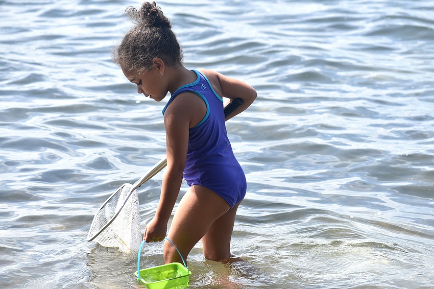 Emmeline Avery scoops her net in the water.