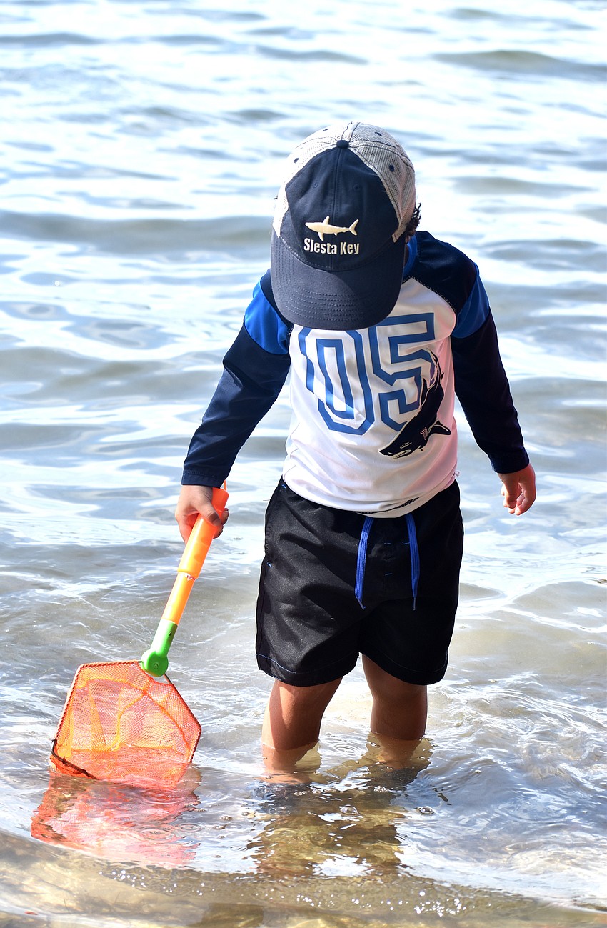 Micheal Fulton scoops his net through the water to find marine life.