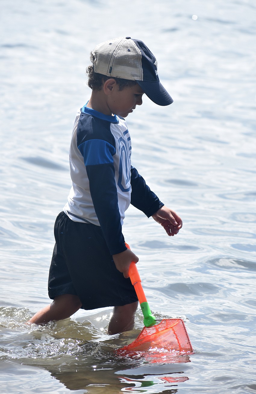 Micheal Fulton searches Sarasota Bay for marine life.