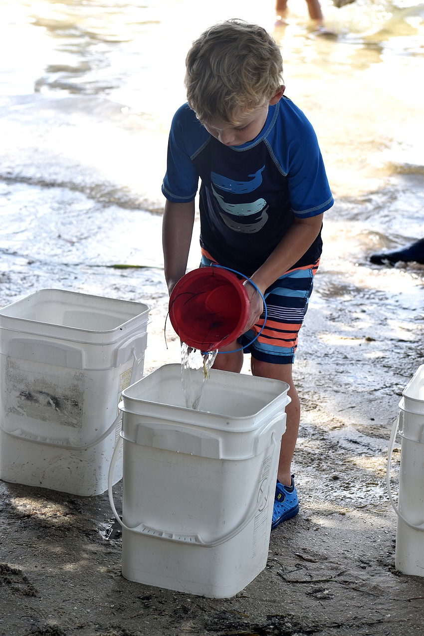 Andrew Robertshaw dumps his findings in a bucket, so he can show other campers what he found.