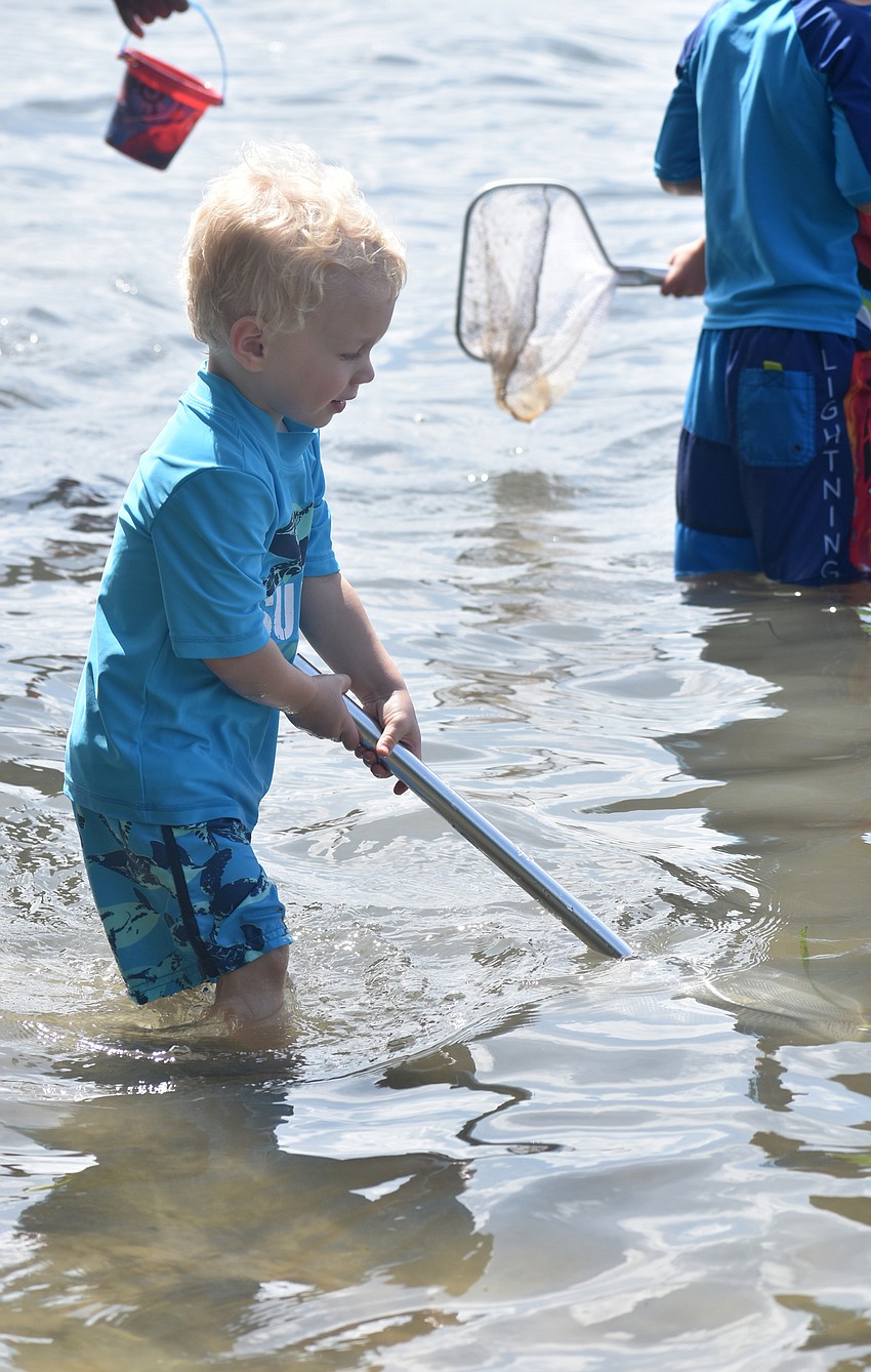 Liam Schwege searches for marine life.