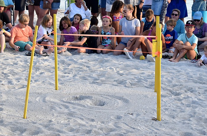 The two dips in the sand indicate that hatchlings crawled out of the nest a few days ago.