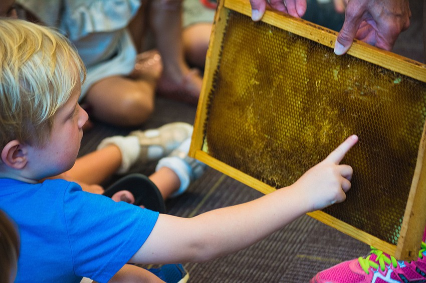 Aleks Spavins examines a hive frame.