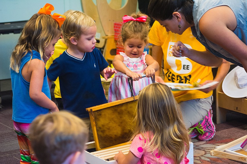Campers explore hive frames.
