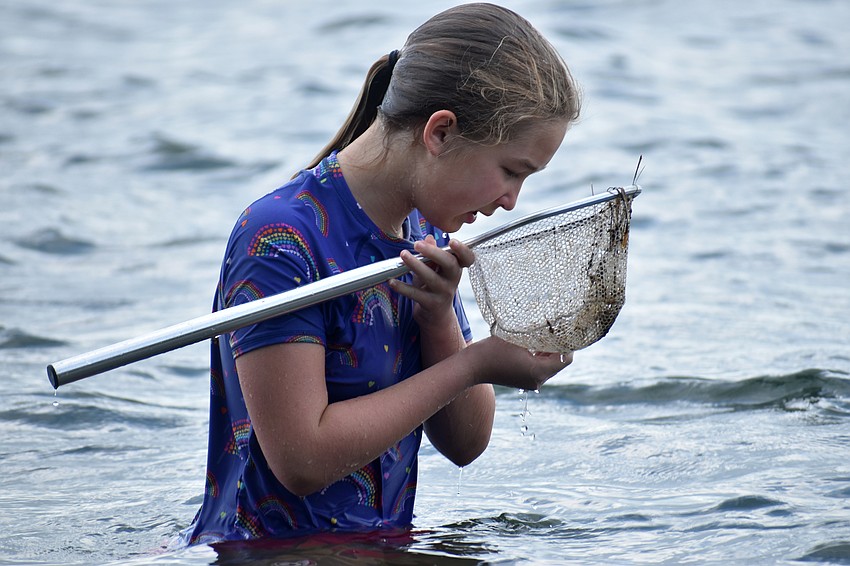 Jillian Christie checks her net for marine life.