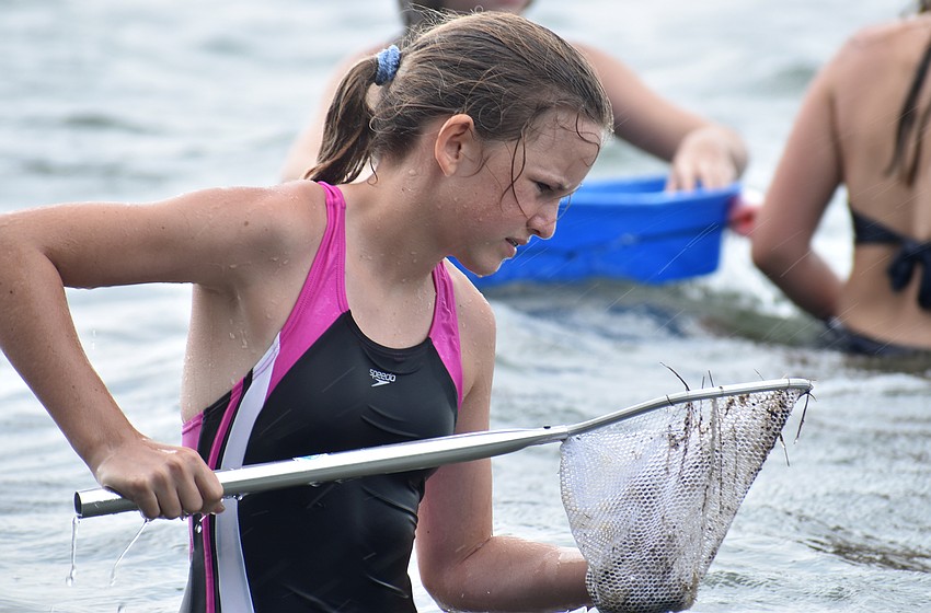 Erin Griffin checks her net after dipping it in the water.