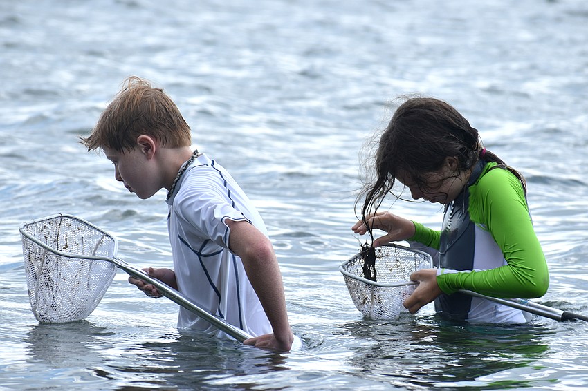 Tripp Rolle and Elliott Benson inspect their nets in search of marine life.