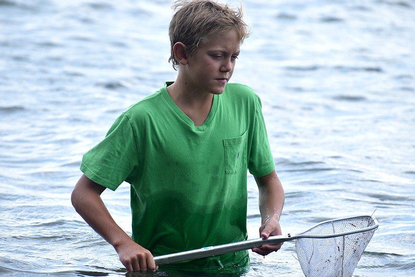 Amaury Bernard walks the water of Sarasota Bay during Sea Sleuths camp.