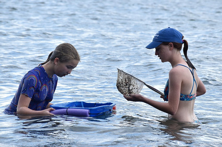 Jillian Christie and Phoebe Bradburn work together to find marine life.