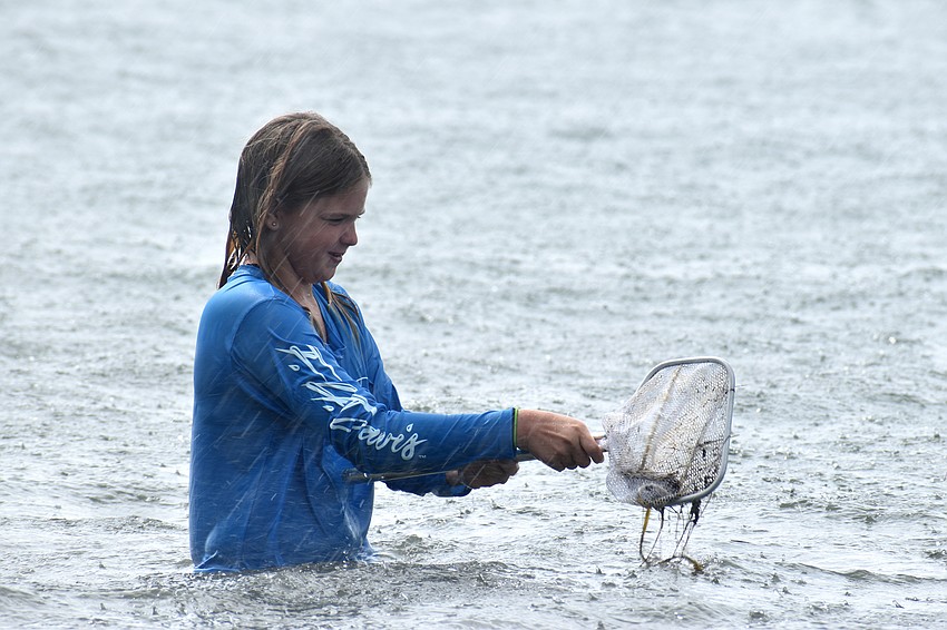Destiny Wiese dumps the contents of her net back in Sarasota Bay as rain begins to pour.