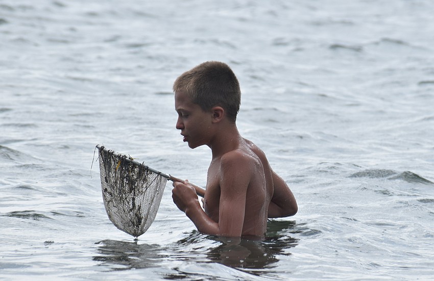 Isaac Warren checks his net for marine life.