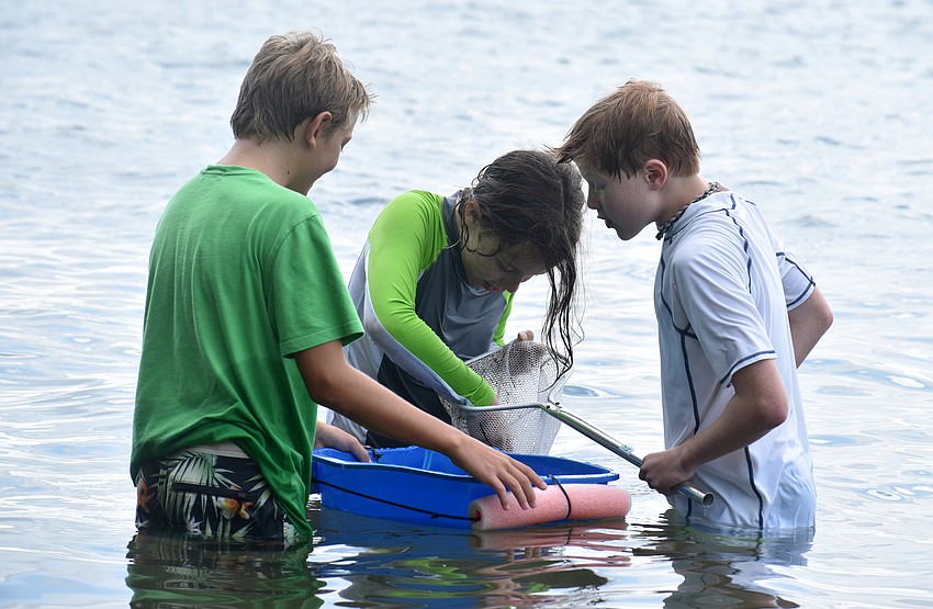 Amaury Bernard, Elliott Benson and Tripp Rolle work together to find sea critters.