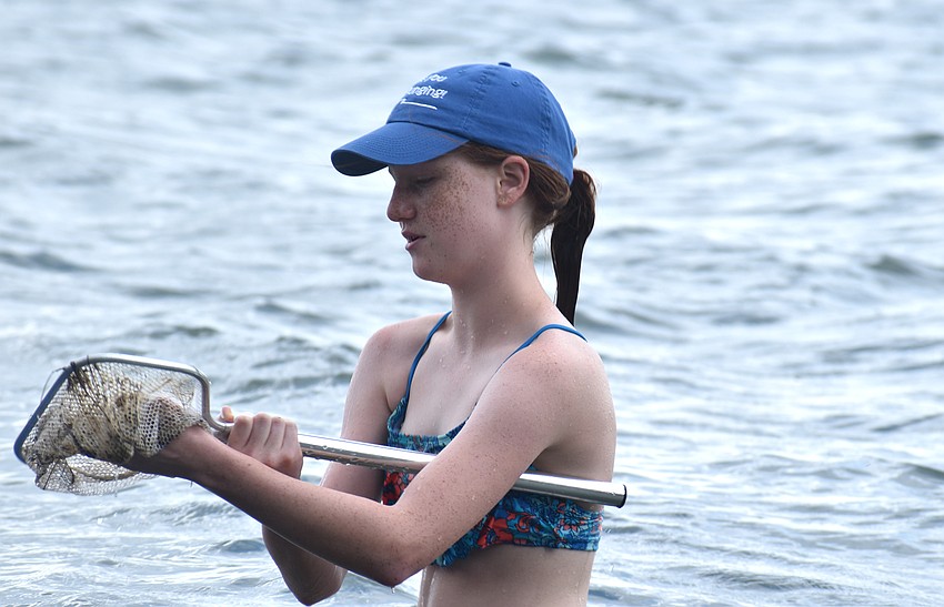 Phoebe Bradburn empties her net into Sarasota Bay after checking it for marine life.