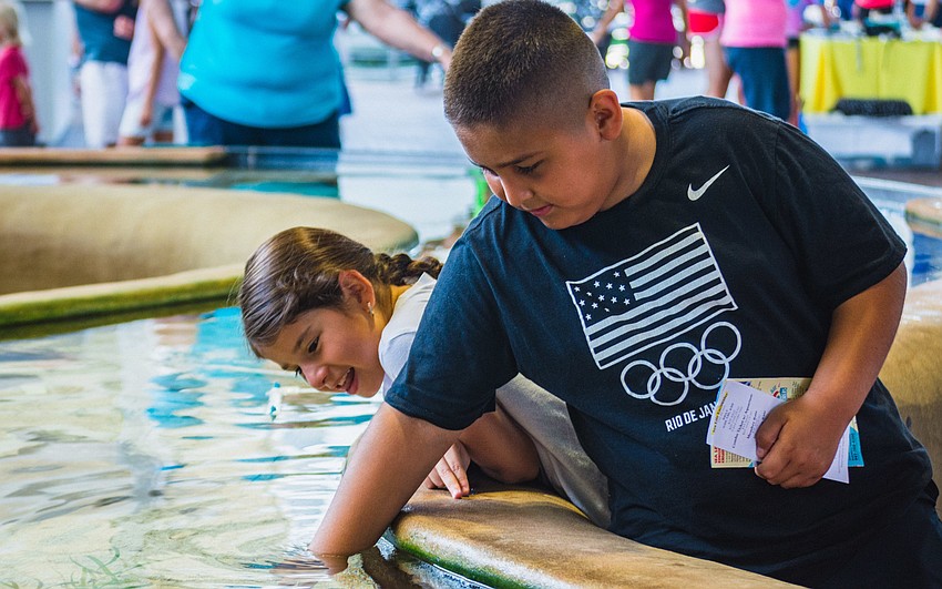 Kayla and Carlos Martinez examine marine plant life.