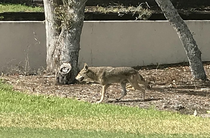 Photo courtesy of Katie Moulton