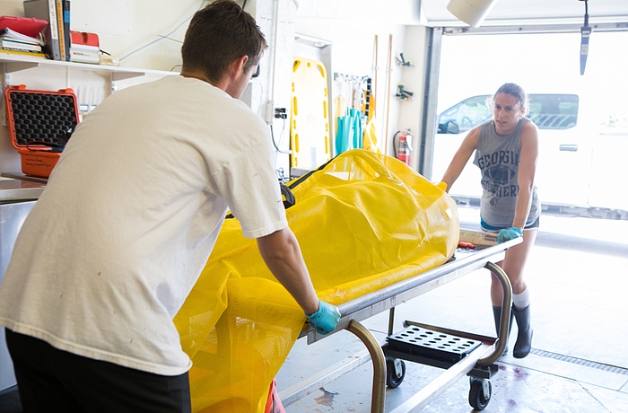 Photo courtesy of Connor Goulding/Mote Marine Laboratory