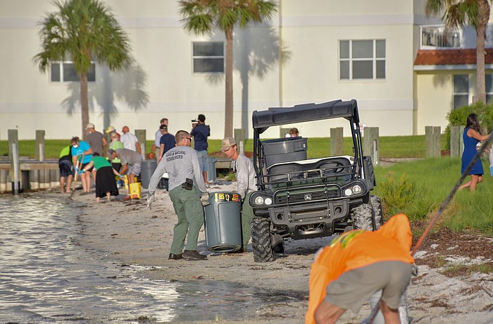 Crews dump dead fish and debris collected along the shores at Palma Sola Boulevard, during a recent red tide cleanup event. Courtesy image.