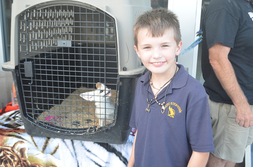Greenbrook's Collin Freeman, 9, enjoys an up-close visit with a fox provided by Big  Cat Habitat at the party.