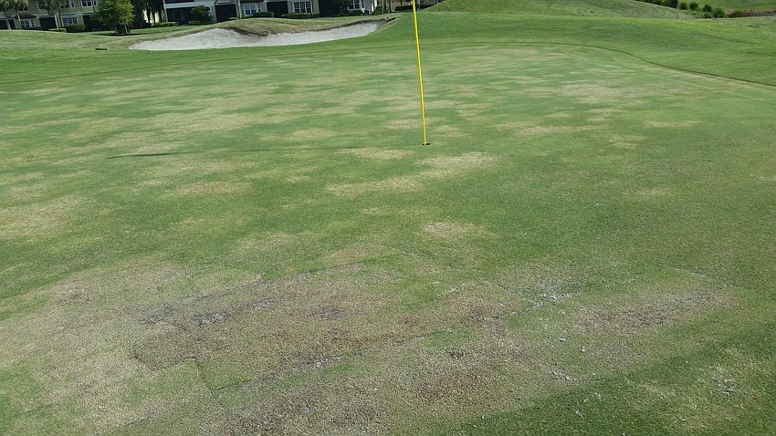 The greens were so far gone before the current ownership, they had to resurface them all.