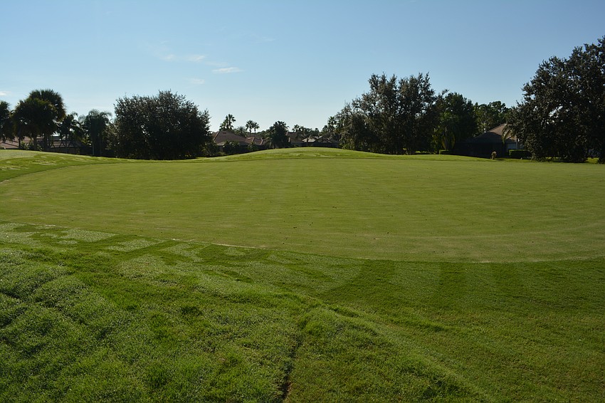 New TifEagle greens will greet the golfers when they return to Legacy.