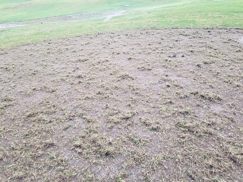 The work at Legacy was intimidating, but Jon Whittemore and Kevin Paschall kept to their multiyear plan.