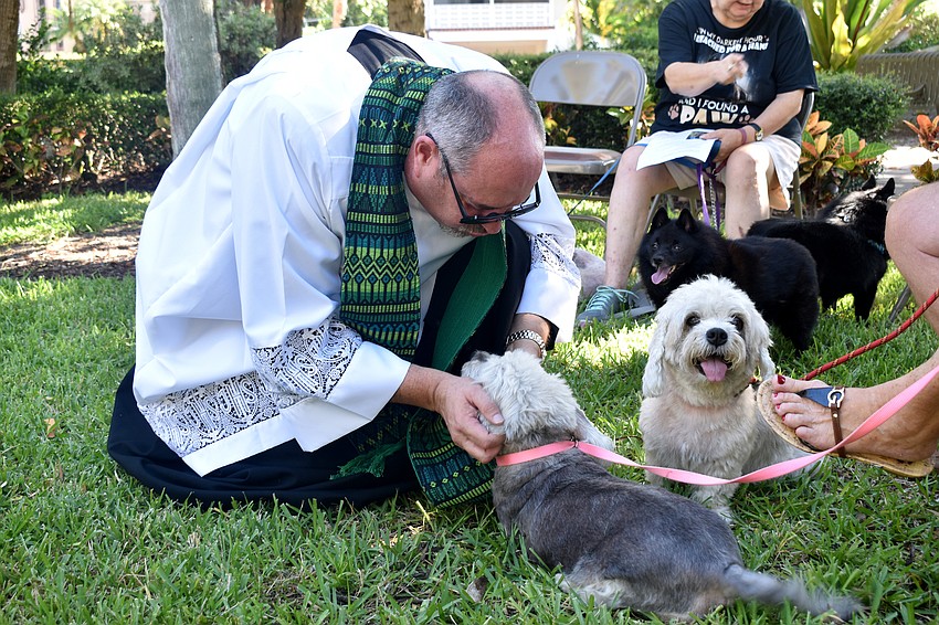 The Rev. Kenneth Blyth blesses Allie, a Dandie Dinmont terrier.