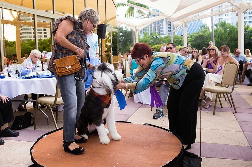 Goose gets his ribbon pinned on by judge Gayle Guynup.