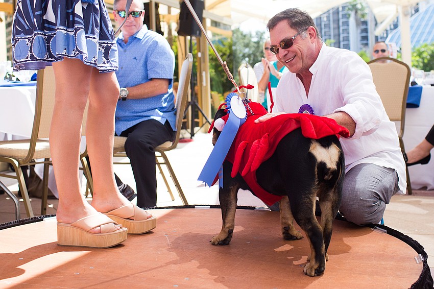 Tuna gets her ribbon on for winning the round.